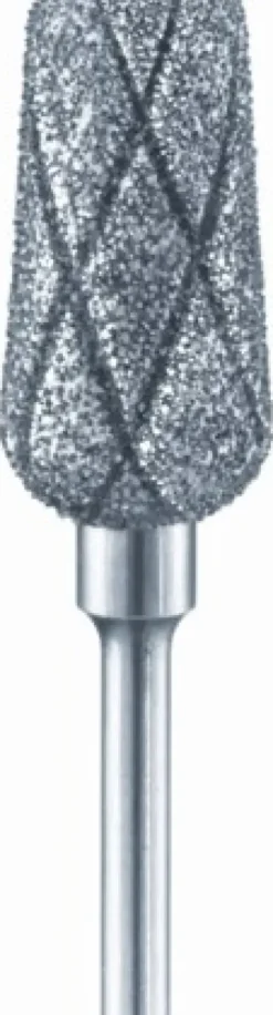 Rotierende Instrumente*BUSCH & Co. Busch Diamantschleifer CD5405