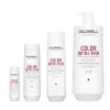 Haarpflege*GOLDWELL Dualsenses Color Extra Rich Brilliance Shampoo
