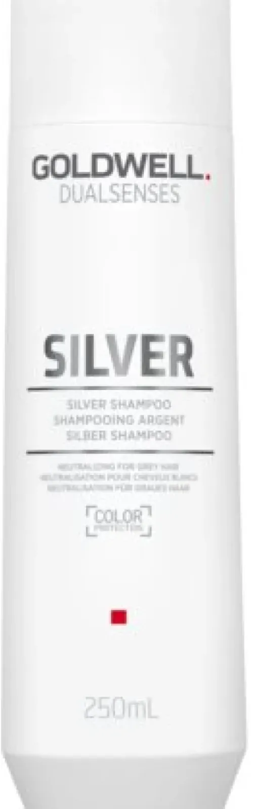 Haarpflege*GOLDWELL Dualsenses Silver Shampoo