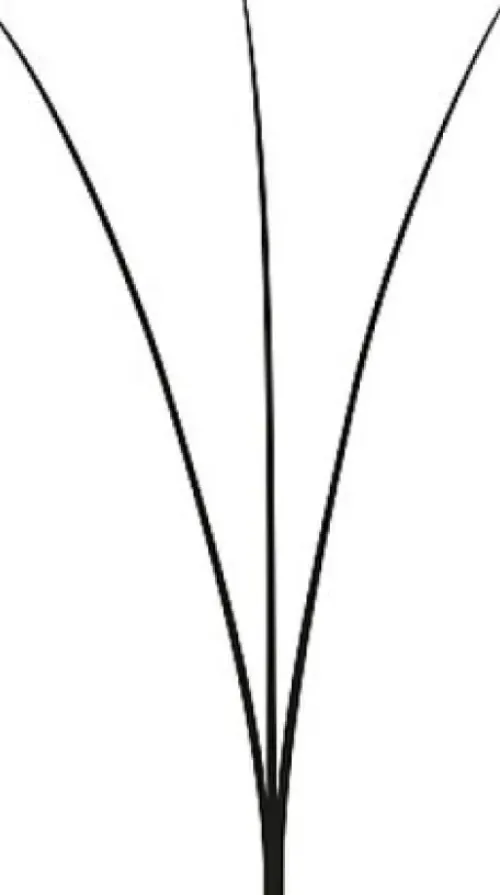 Wimpern / Brauen Profil*LASH beLONG Easy Volume Lashes 3D - MIX-Box D-Curl