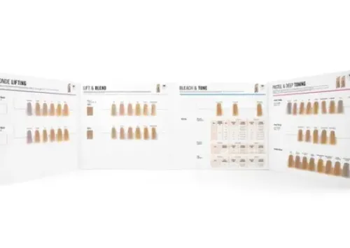 Farbe/blondierung*Schwarzkopf Color Chart BLONDME 03/23