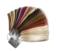 Extensions*Seiseta Farbring