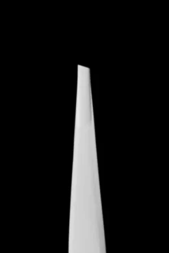 Wimpern / Brauen Profil*Staleks PRO Augenbrauenpinzetten schmal abgeschrägt EXPERT 10