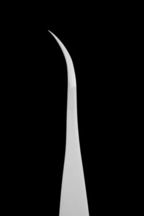 Wimpern / Brauen Profil*Staleks PRO Wimpernpinzette gebogen EXPERT 40